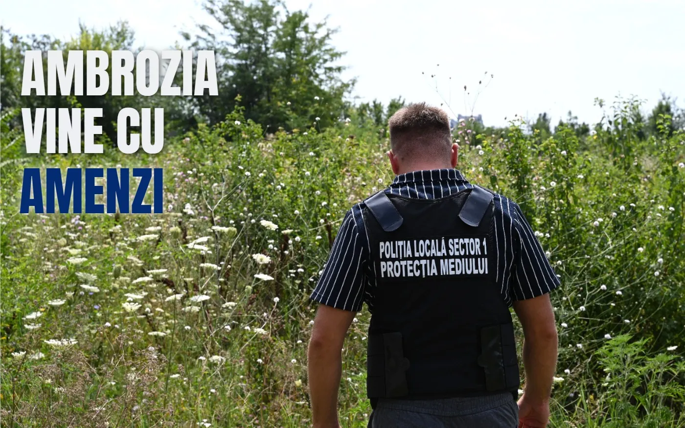 Amenzi de 764.000 de lei pentru terenuri insalubre în Sectorul 1